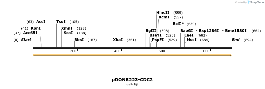 10872_map