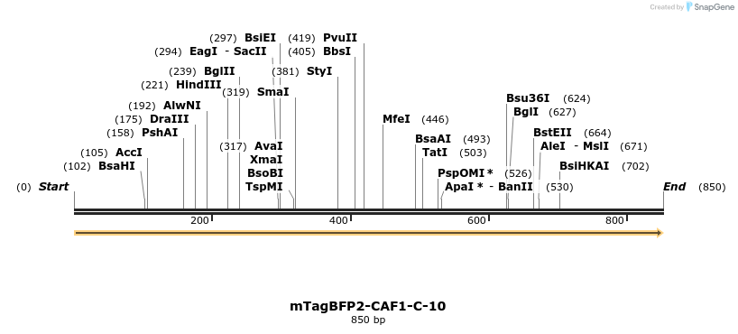108724_map