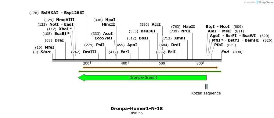 108726_map