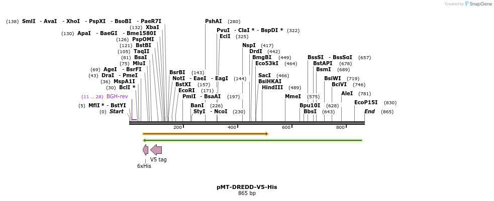 108729_map
