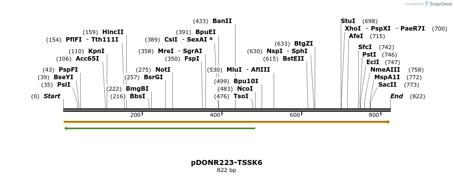 10873_map
