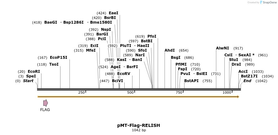 108731_map