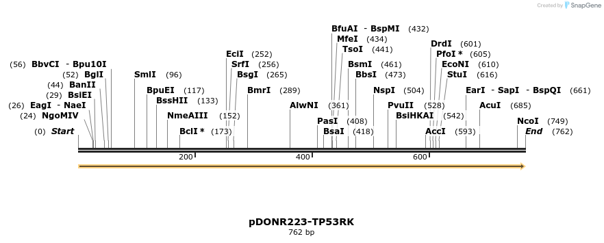 10874_map