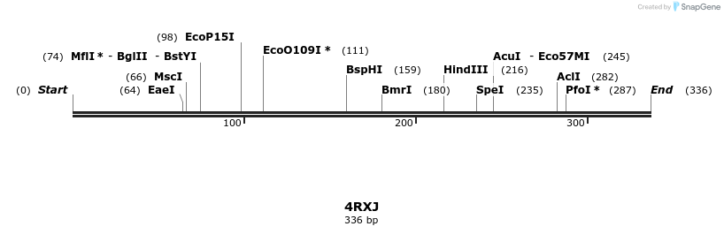 108746_map