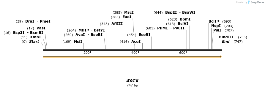 108749_map