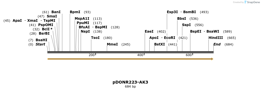10875_map