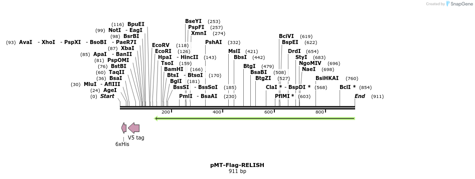 108750_map