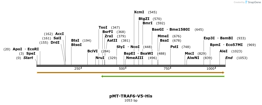 108753_map