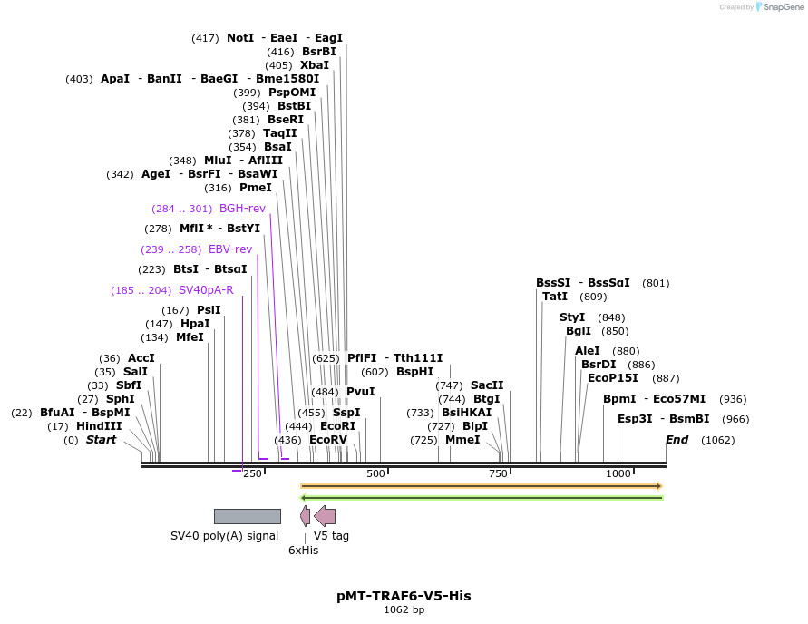 108754_map