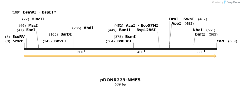 10876_map
