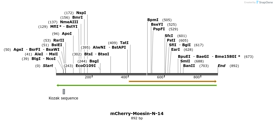 108761_map
