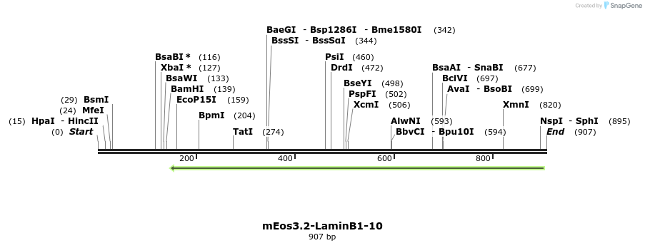 108764_map