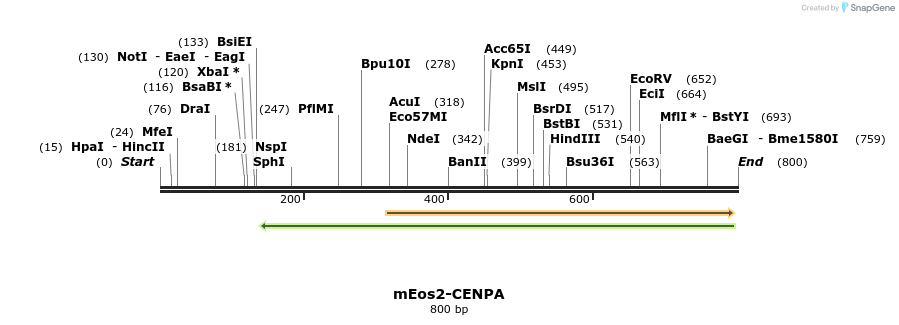 108769_map
