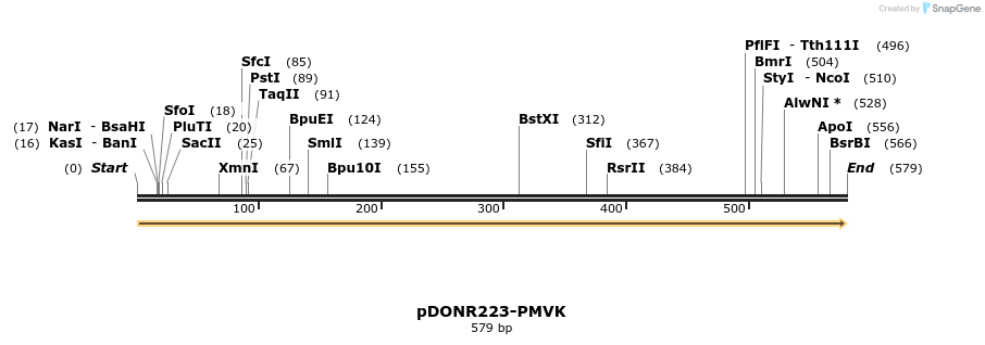 10877_map