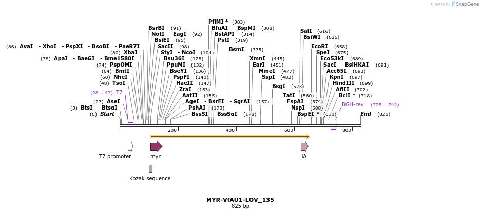 108770_map