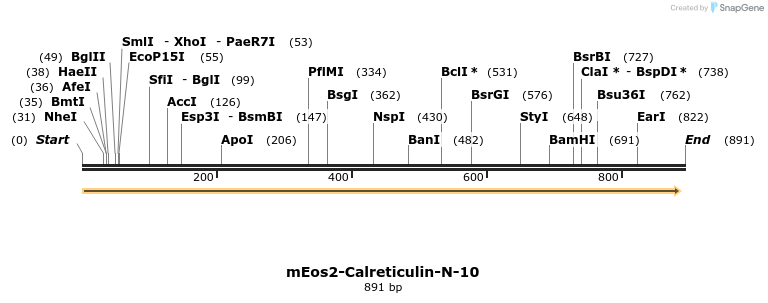 108777_map