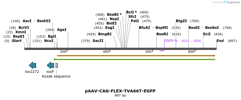 108779_map