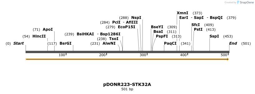 10878_map