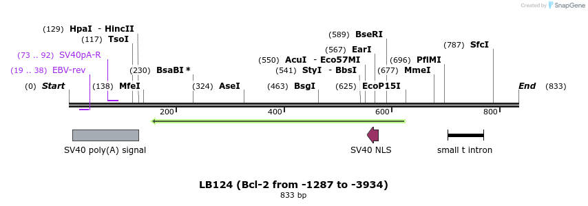 108781_map