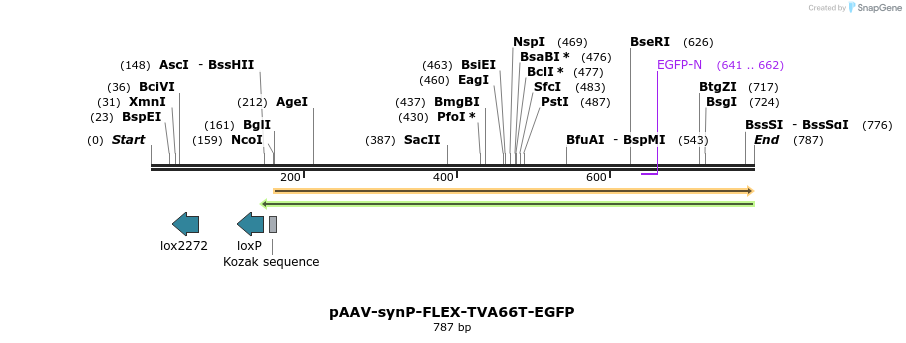108782_map