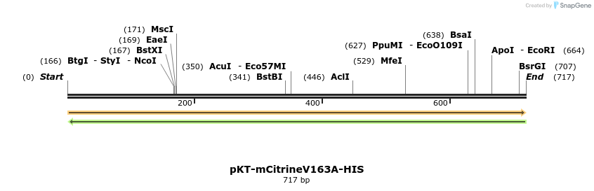 108785_map