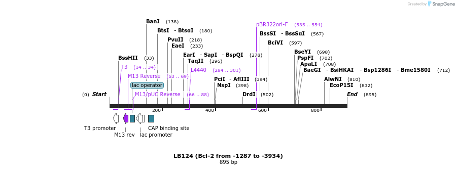 108786_map