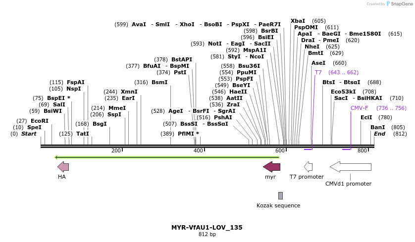 108789_map