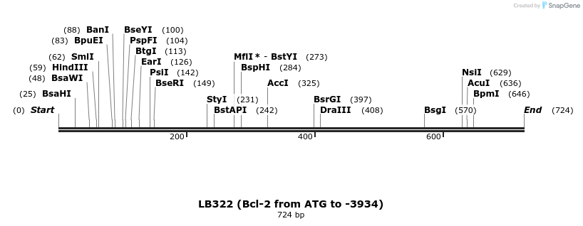 108791_map