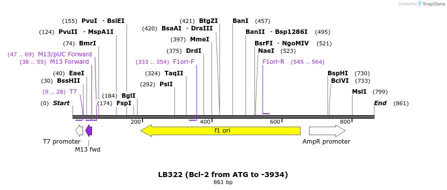 108794_map