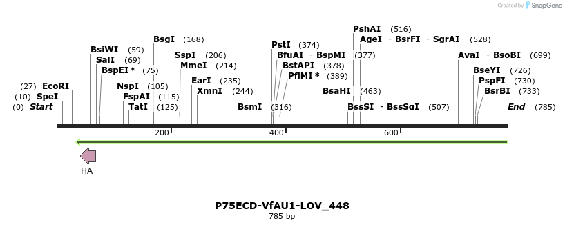 108796_map