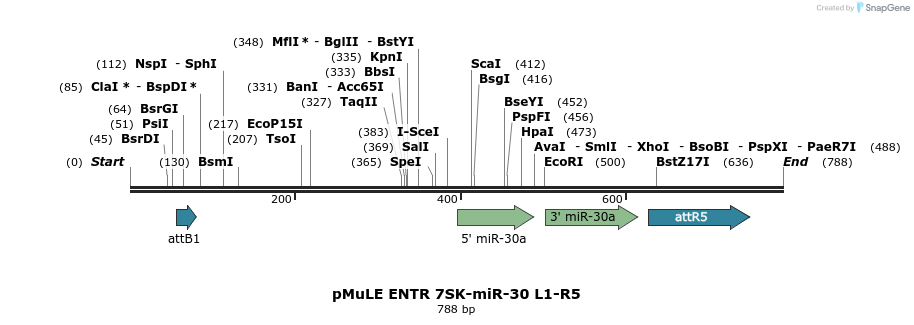 108802_map