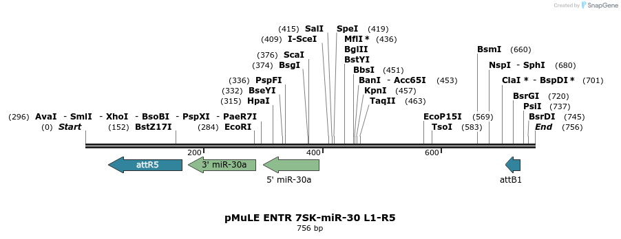 108804_map