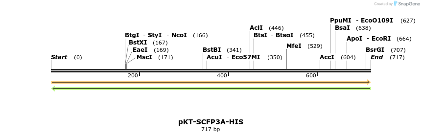 108807_map