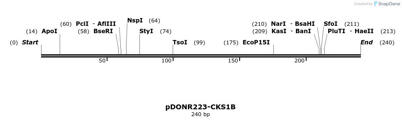 10881_map