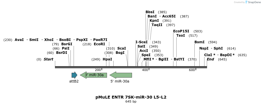 108814_map