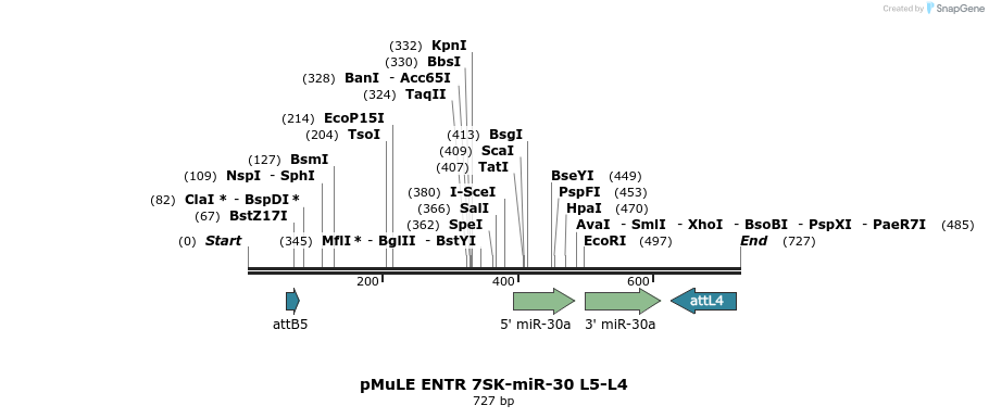 108815_map