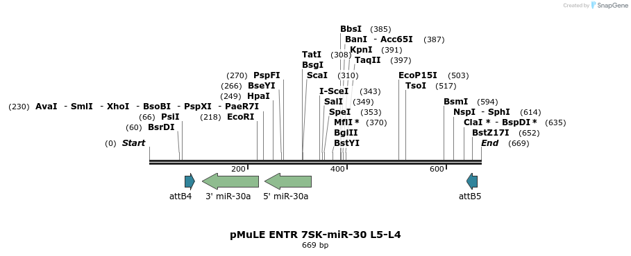 108816_map