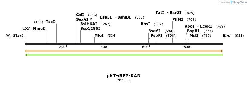 108818_map