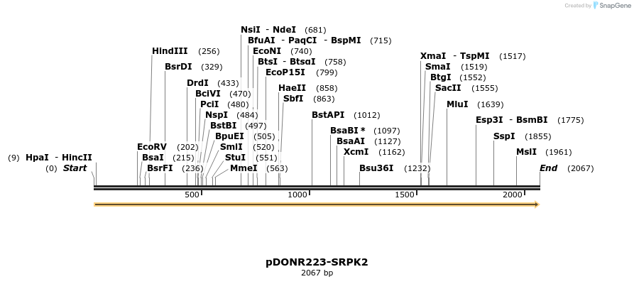 10882_map