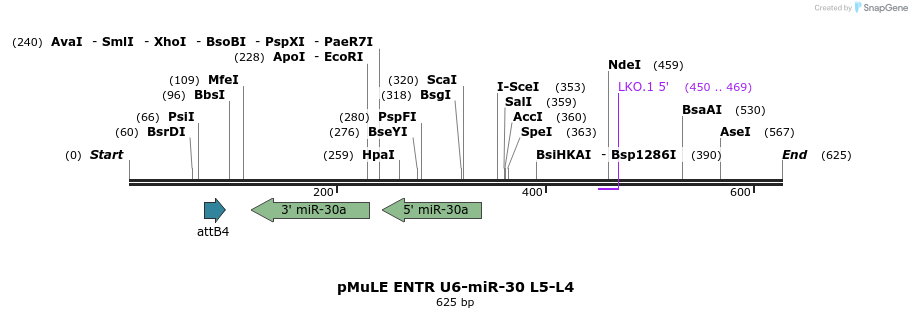 108825_map