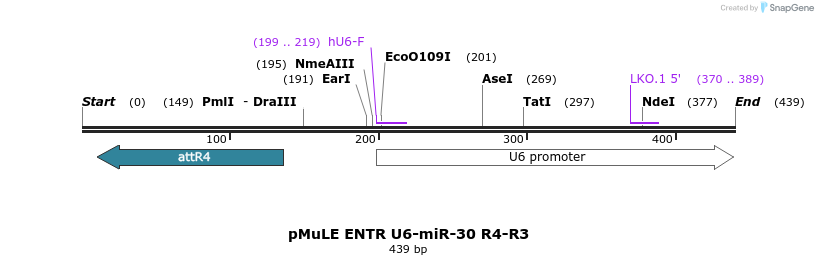 108826_map
