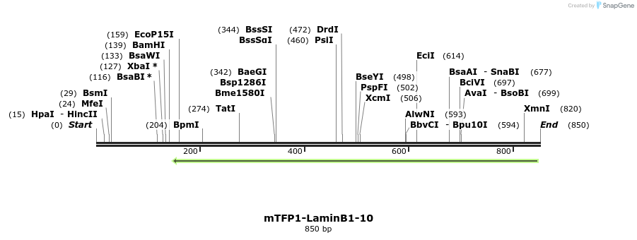 108828_map