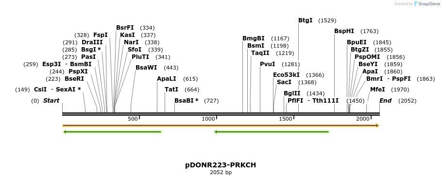 10883_map