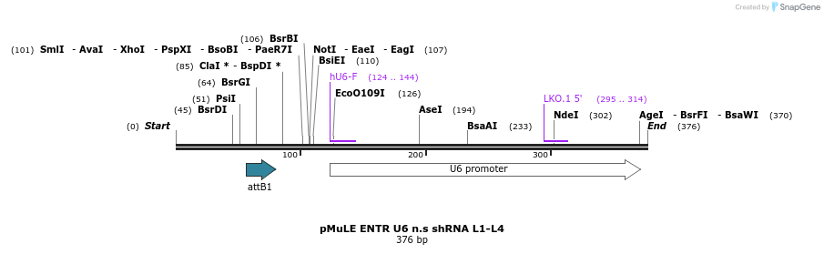 108831_map