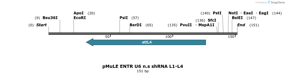 108832_map