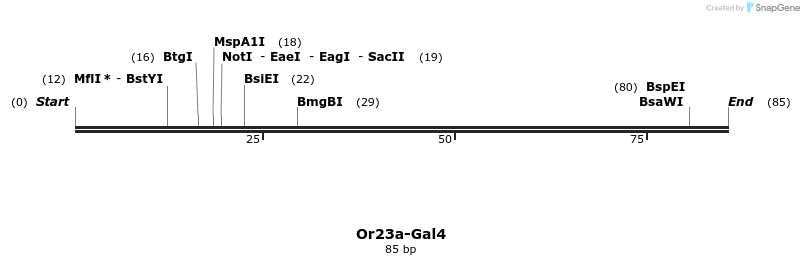 108836_map