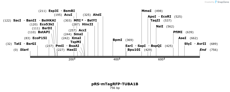 108838_map