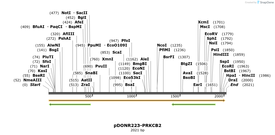 10884_map