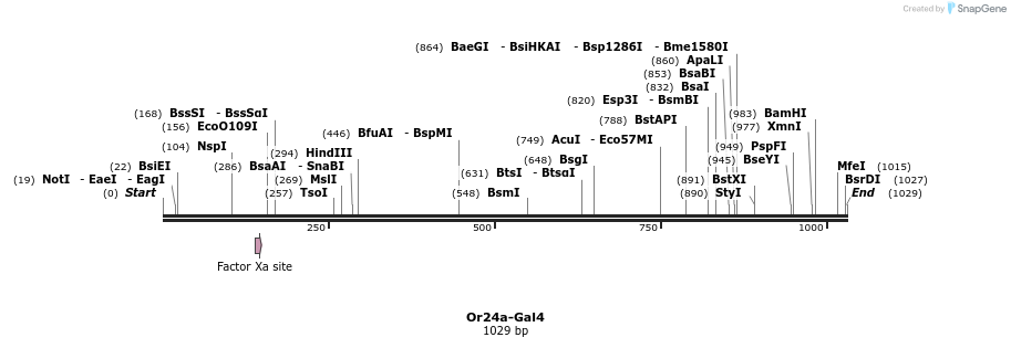 108840_map