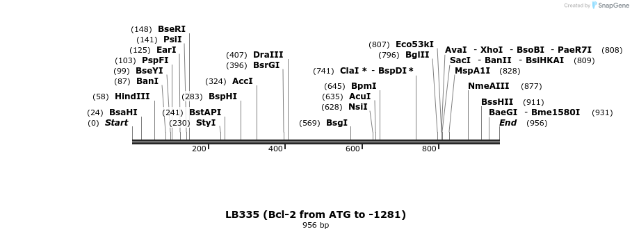 108843_map